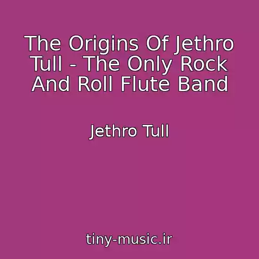 کاور آهنگ The Origins Of Jethro Tull - The Only Rock And Roll Flute Band از Jethro Tull