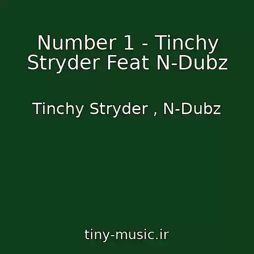 کاور آهنگ Number 1 - Tinchy Stryder Feat N-Dubz از Tinchy Stryder , N-Dubz