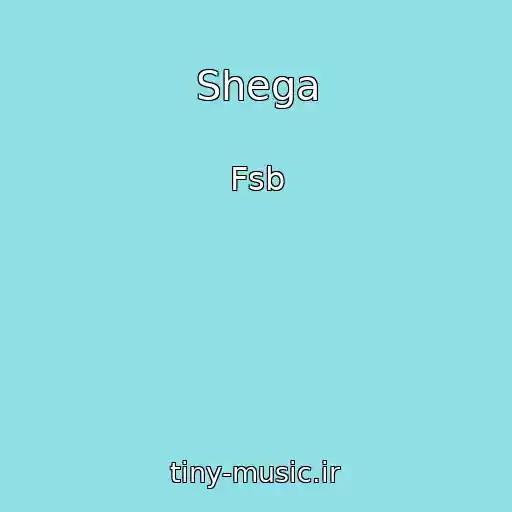 کاور آهنگ Shega از Fsb