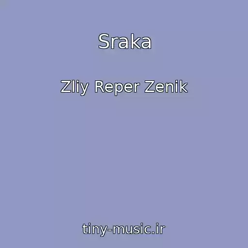 کاور آهنگ Sraka از Zliy Reper Zenik