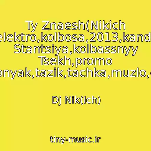کاور آهنگ Ty Znaesh(Nikich Prod.)Bass,transmissiya,tekhno,lyubov,elektro,kolbosa,2013,kandalaksha,gaz51,dj,senseyshen,piratskaya Stantsiya,kolbassnyy Tsekh,promo Dj,muzyka,klubnyak,tazik,tachka,muzlo,chetko,kachaet از Dj Nik(Ich)