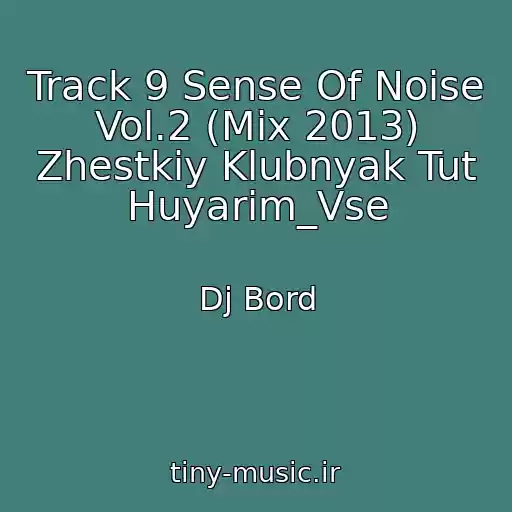 کاور آهنگ Track 9 Sense Of Noise Vol.2 (Mix 2013) Zhestkiy Klubnyak Tut Huyarim_Vse از Dj Bord