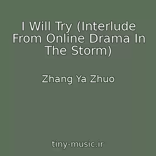 کاور آهنگ I Will Try (Interlude From Online Drama In The Storm) از Zhang Ya Zhuo
