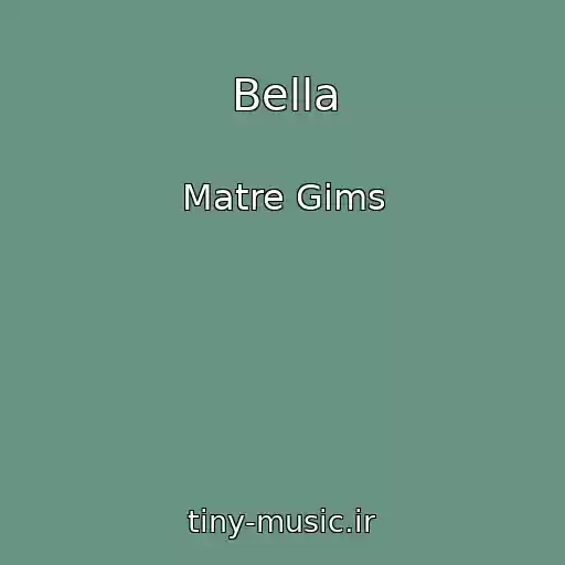 کاور آهنگ Bella از Matre Gims