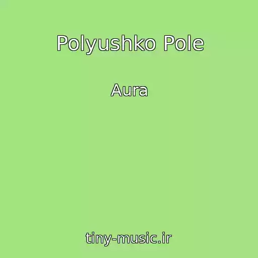 کاور آهنگ Polyushko Pole از Aura