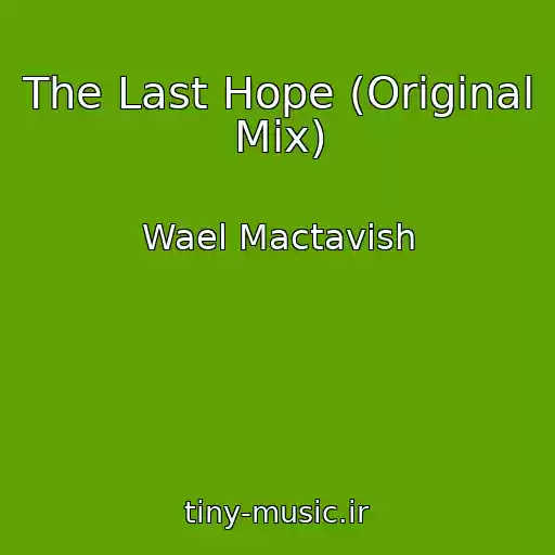 کاور آهنگ The Last Hope (Original Mix) از Wael Mactavish