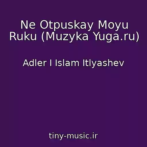 کاور آهنگ Ne Otpuskay Moyu Ruku (Muzyka Yuga.ru) از Adler I Islam Itlyashev
