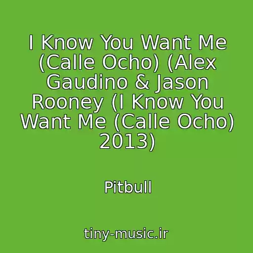 کاور آهنگ I Know You Want Me (Calle Ocho) (Alex Gaudino & Jason Rooney (I Know You Want Me (Calle Ocho) 2013) از Pitbull
