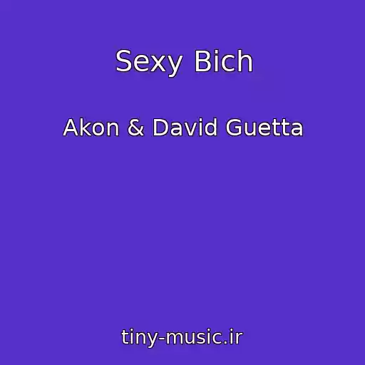 کاور آهنگ Sexy Bich از Akon & David Guetta