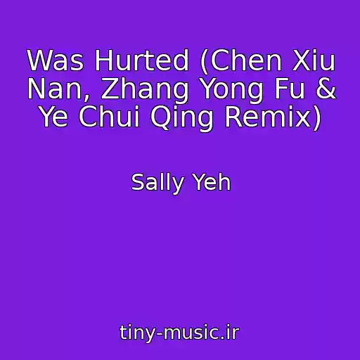 کاور آهنگ Was Hurted (Chen Xiu Nan, Zhang Yong Fu & Ye Chui Qing Remix) از Sally Yeh