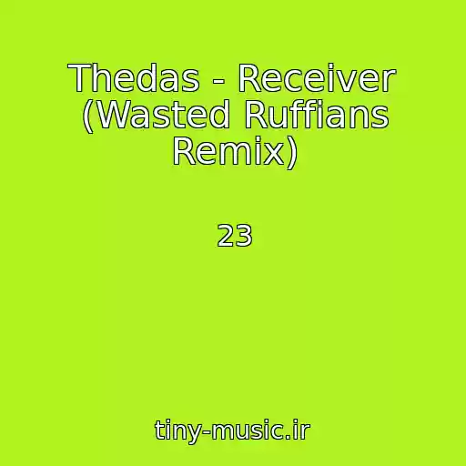 کاور آهنگ Thedas - Receiver (Wasted Ruffians Remix) از 23