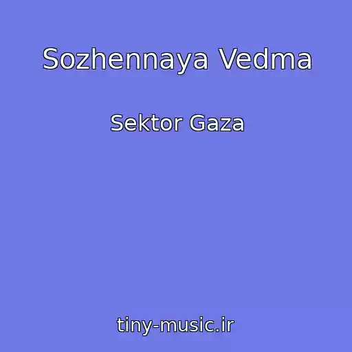 کاور آهنگ Sozhennaya Vedma از Sektor Gaza
