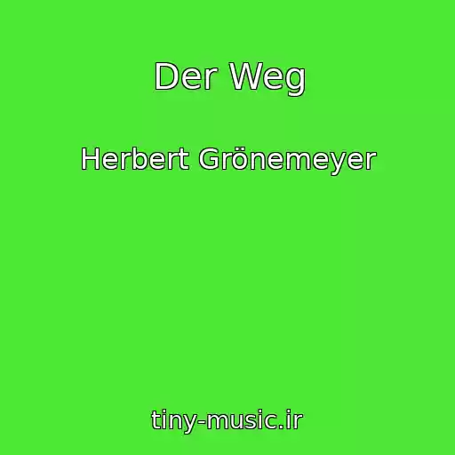 کاور آهنگ Der Weg از Herbert Grönemeyer
