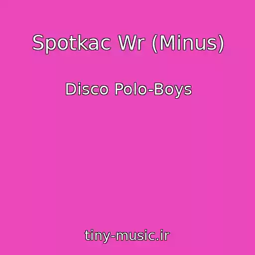 کاور آهنگ Spotkac Wr (Minus) از Disco Polo-Boys