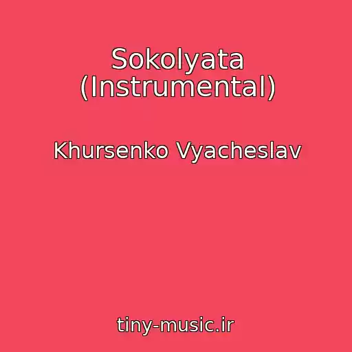 کاور آهنگ Sokolyata (Instrumental) از Khursenko Vyacheslav