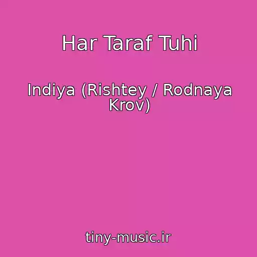 کاور آهنگ Har Taraf Tuhi از Indiya (Rishtey / Rodnaya Krov)