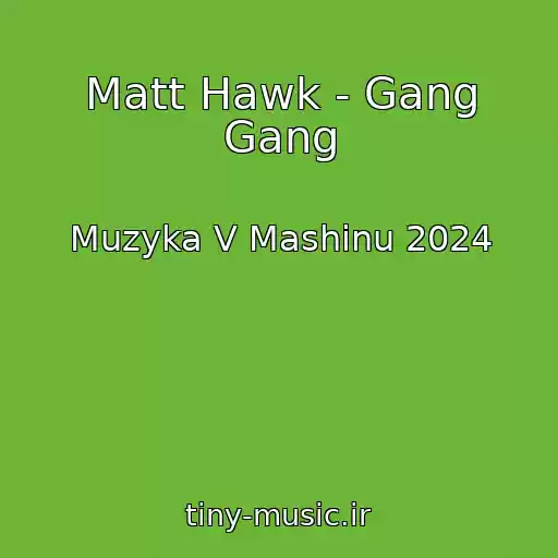 کاور آهنگ Matt Hawk - Gang Gang از Muzyka V Mashinu 2024