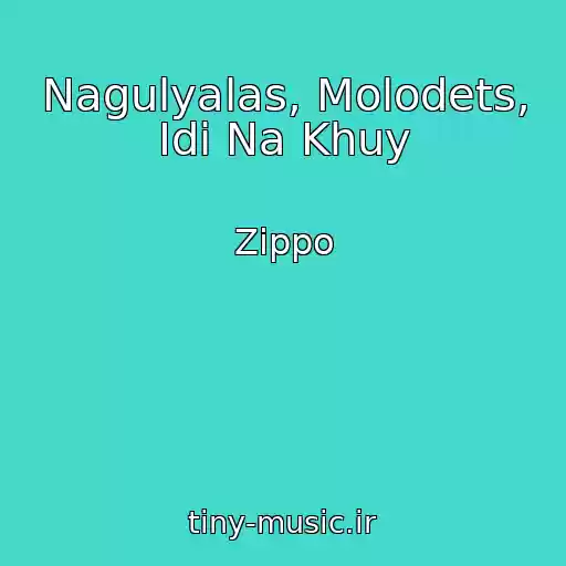 کاور آهنگ Nagulyalas, Molodets, Idi Na Khuy از Zippo