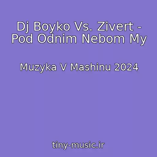 کاور آهنگ Dj Boyko Vs. Zivert - Pod Odnim Nebom My از Muzyka V Mashinu 2024