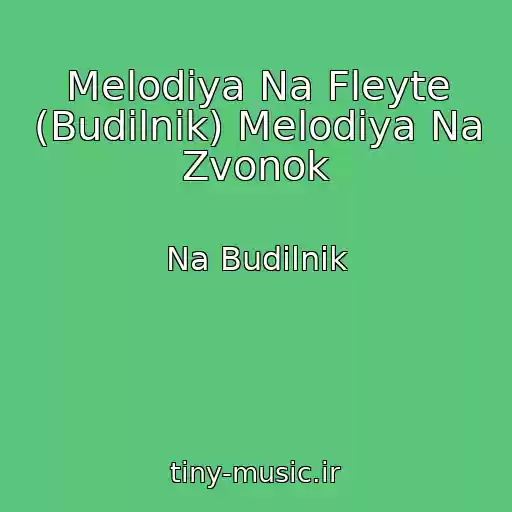 کاور آهنگ Melodiya Na Fleyte (Budilnik) Melodiya Na Zvonok از Na Budilnik