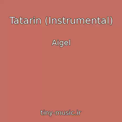 کاور آهنگ Tatarin (Instrumental) از Aigel