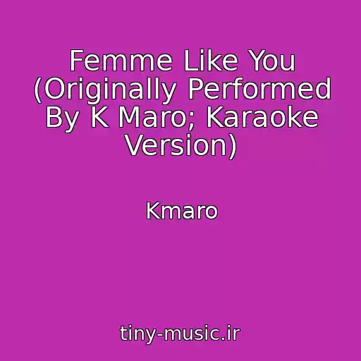 کاور آهنگ Femme Like You (Originally Performed By K Maro; Karaoke Version) از Kmaro