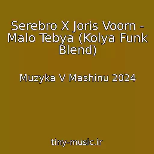 کاور آهنگ Serebro X Joris Voorn - Malo Tebya (Kolya Funk Blend) از Muzyka V Mashinu 2024