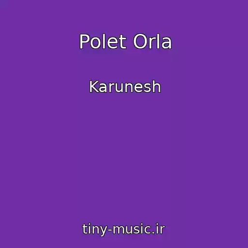 کاور آهنگ Polet Orla از Karunesh