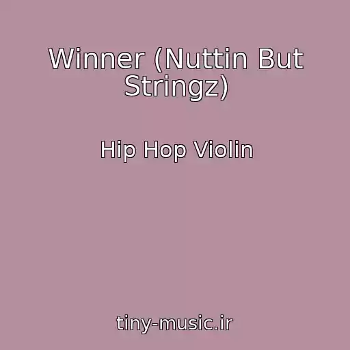 کاور آهنگ Winner (Nuttin But Stringz) از Hip Hop Violin