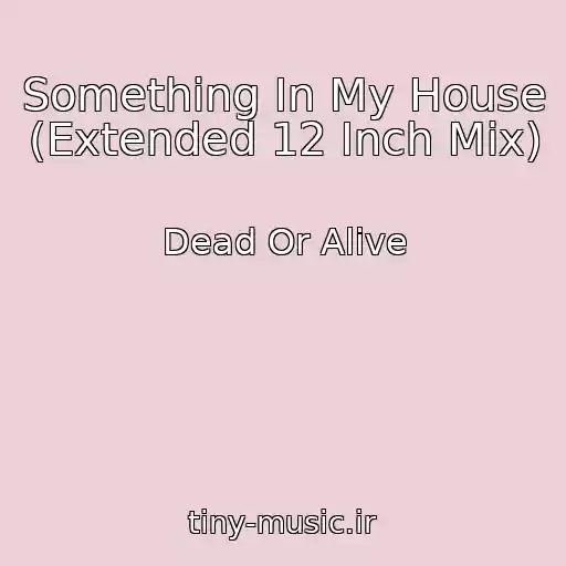 کاور آهنگ Something In My House (Extended 12 Inch Mix) از Dead Or Alive