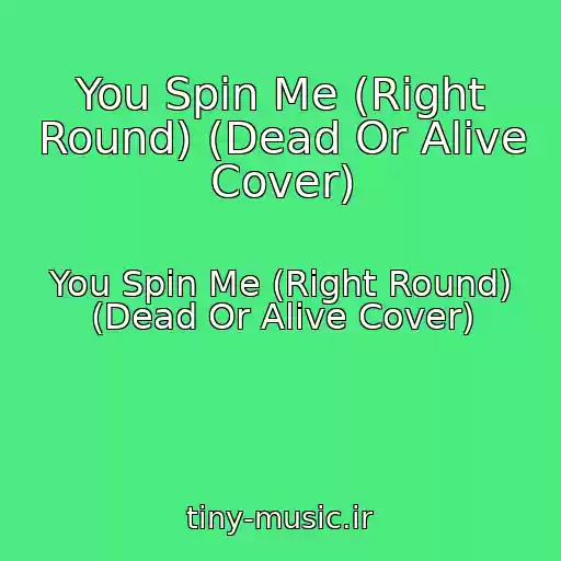 کاور آهنگ You Spin Me (Right Round) (Dead Or Alive Cover) از You Spin Me (Right Round) (Dead Or Alive Cover)