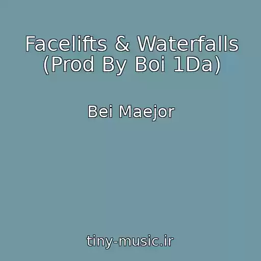 کاور آهنگ Facelifts & Waterfalls (Prod By Boi 1Da) از Bei Maejor