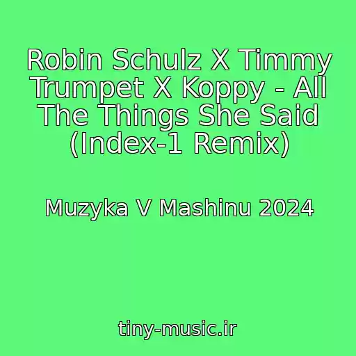 کاور آهنگ Robin Schulz X Timmy Trumpet X Koppy - All The Things She Said (Index-1 Remix) از Muzyka V Mashinu 2024