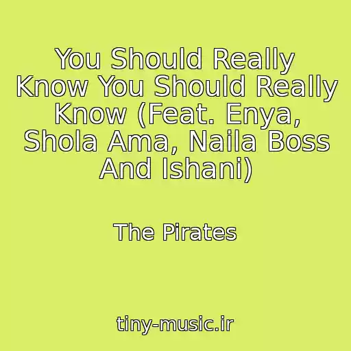 کاور آهنگ You Should Really Know You Should Really Know (Feat. Enya, Shola Ama, Naila Boss And Ishani) از The Pirates