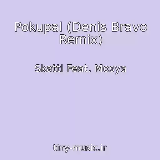 کاور آهنگ Pokupal (Denis Bravo Remix) از Skattl Feat. Mosya