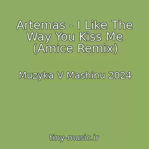 کاور آهنگ Artemas - I Like The Way You Kiss Me (Amice Remix) از Muzyka V Mashinu 2024