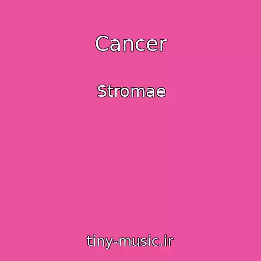 کاور آهنگ Cancer از Stromae