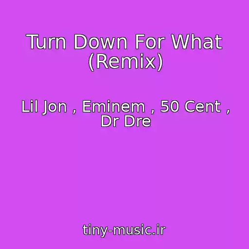 کاور آهنگ Turn Down For What (Remix) از Lil Jon , Eminem , 50 Cent , Dr Dre