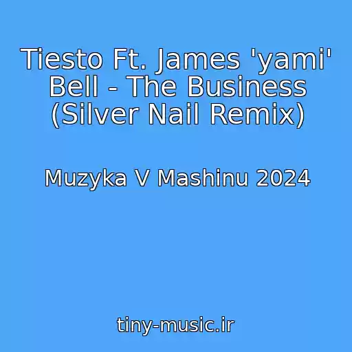 کاور آهنگ Tiesto Ft. James 'yami' Bell - The Business (Silver Nail Remix) از Muzyka V Mashinu 2024