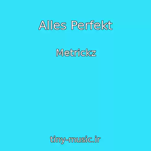 کاور آهنگ Alles Perfekt از Metrickz