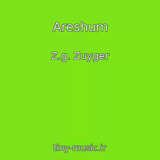 کاور آهنگ Areshum از Z.g. Zuyger