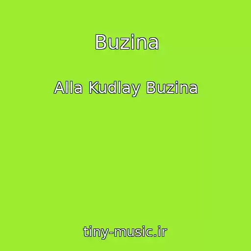 کاور آهنگ Buzina از Alla Kudlay Buzina
