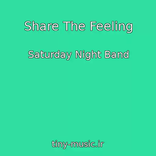 کاور آهنگ Share The Feeling از Saturday Night Band