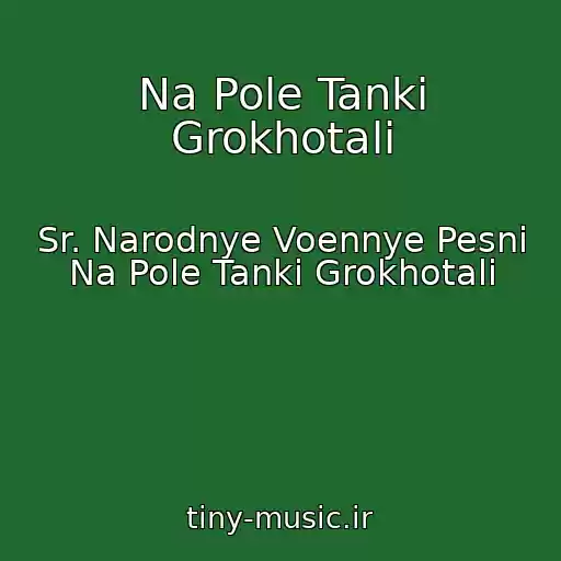 کاور آهنگ Na Pole Tanki Grokhotali از Sr. Narodnye Voennye Pesni Na Pole Tanki Grokhotali