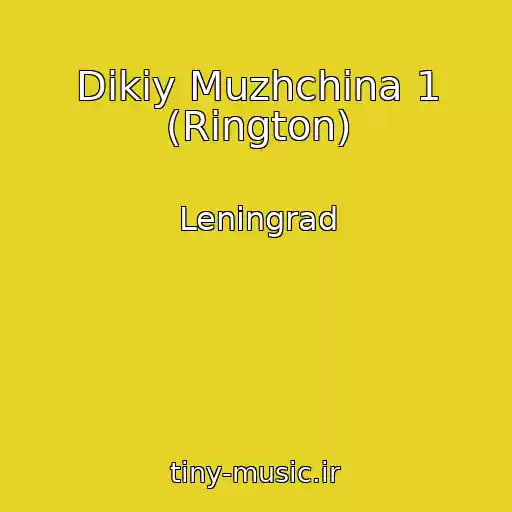 کاور آهنگ Dikiy Muzhchina 1 (Rington) از Leningrad
