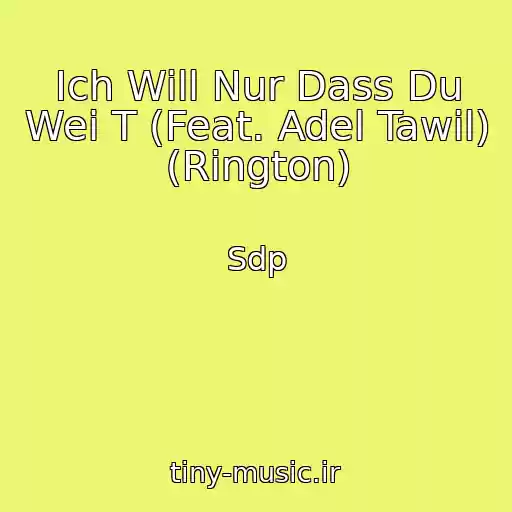 کاور آهنگ Ich Will Nur Dass Du Wei T (Feat. Adel Tawil) (Rington) از Sdp
