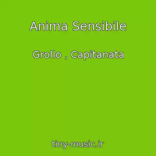 کاور آهنگ Anima Sensibile از Grollo , Capitanata
