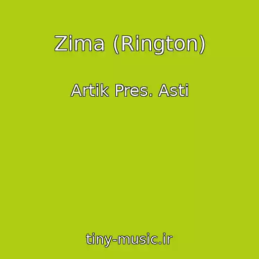کاور آهنگ Zima (Rington) از Artik Pres. Asti
