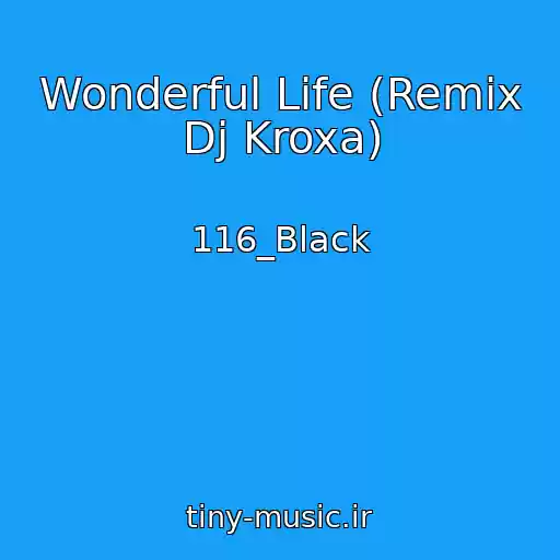 کاور آهنگ Wonderful Life (Remix Dj Kroxa) از 116_Black