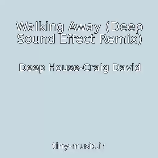 کاور آهنگ Walking Away (Deep Sound Effect Remix) از Deep House-Craig David
